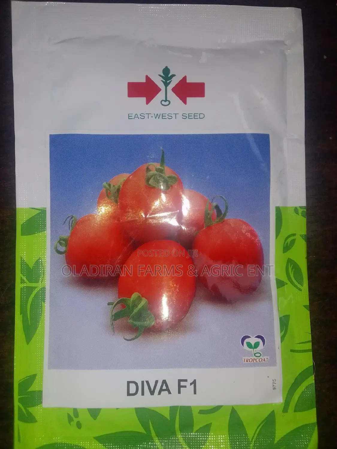 Diva F1 Tomato