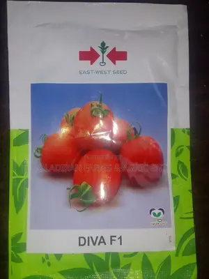 Diva F1 Tomato