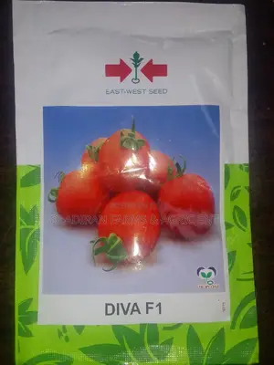Diva F1 Tomato