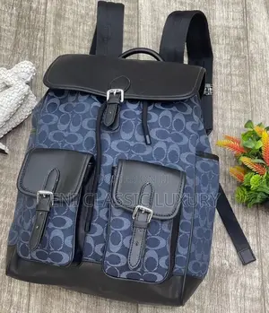 Most Wanted Trending Luxury Bags Louis Vuitton Available