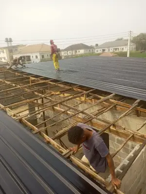 Experience and Expert Roofing Sheets Installer