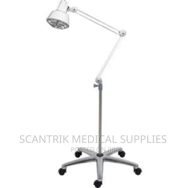 Poised Angle Lamp