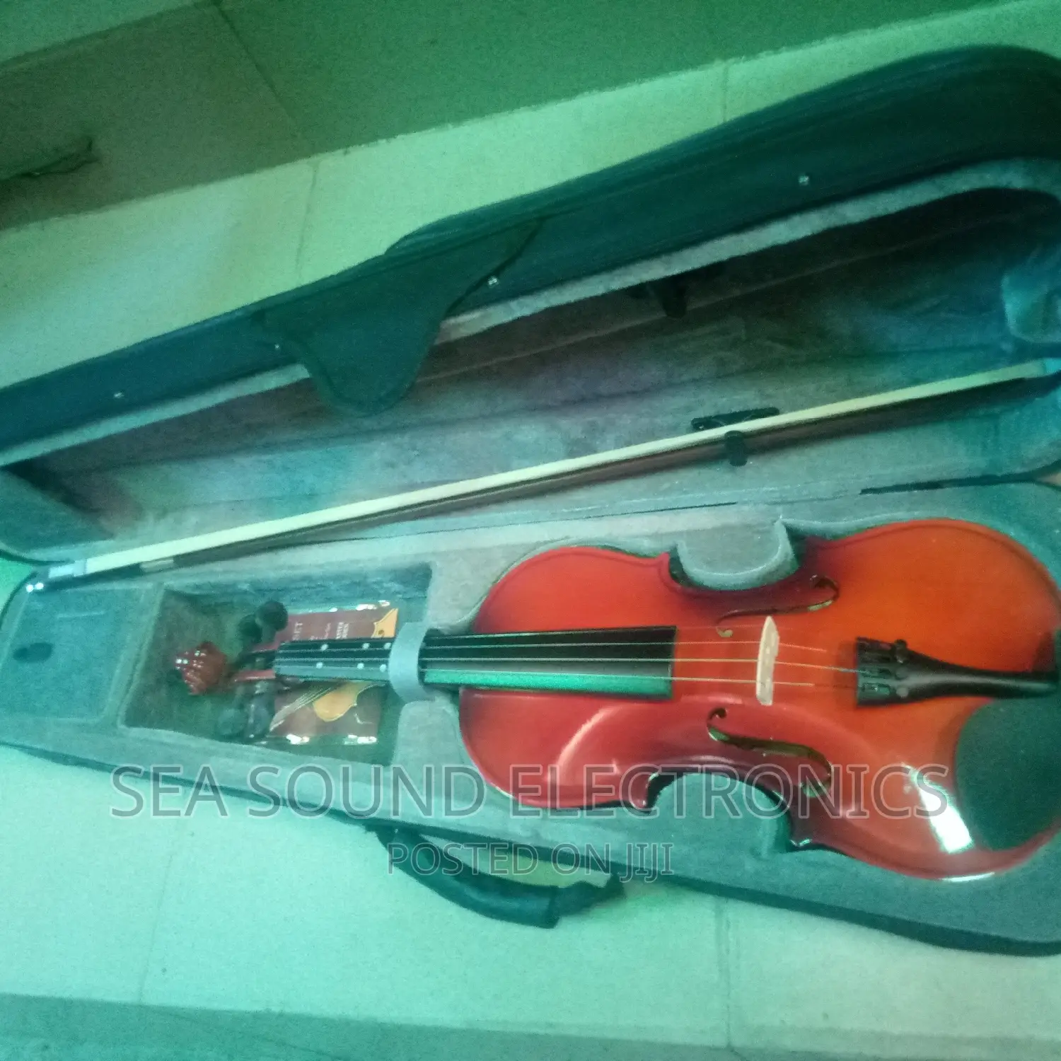 Professional Violin