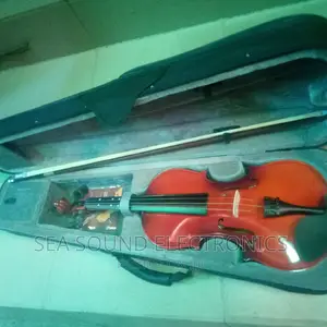 Professional Violin