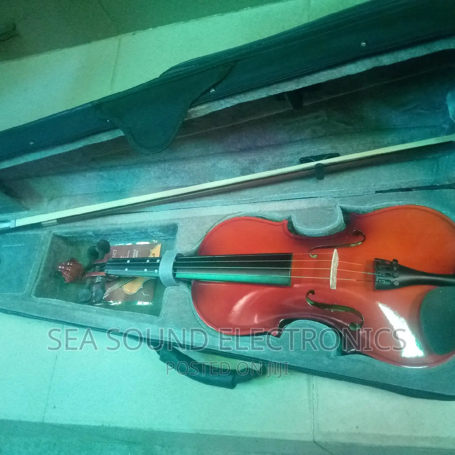 Professional Violin