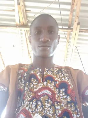 Experienced Tailor