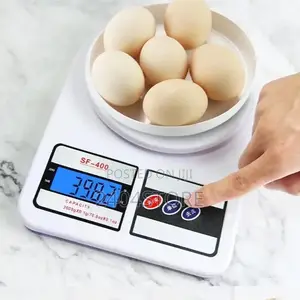 SF400 High Pressure Kitchen Electronic