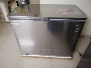 Brand New LG Korea 280L Chest Freezer>External>Silver Colour