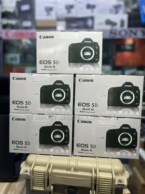 Canon Eos 5d Mark Iii 22.3 Mp Full Frame