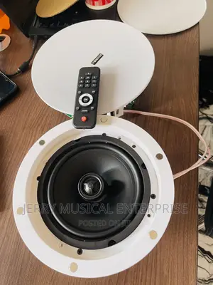 2in1 Bluetooth Speaker Ceiling Speakers With Remote Control
