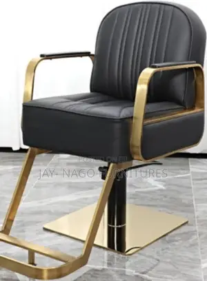 Highly Standard Quality Classic Simple Barbing Chair