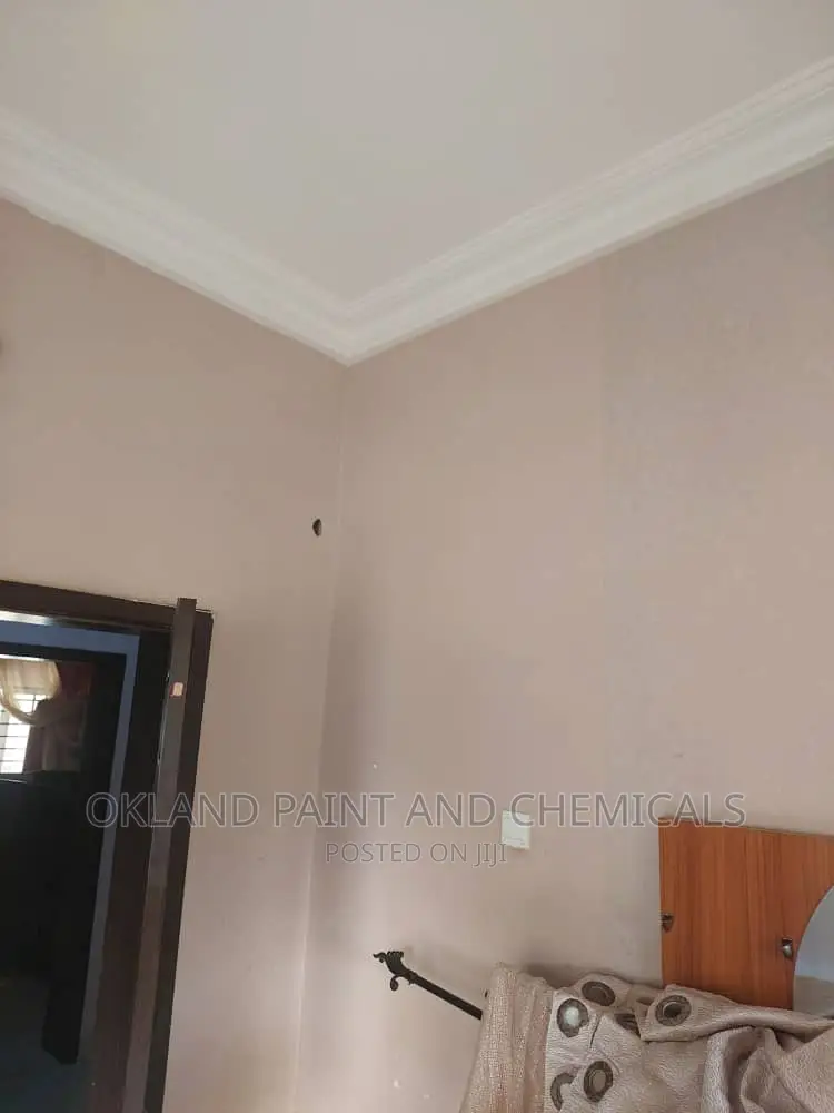 Painter Apo Painting