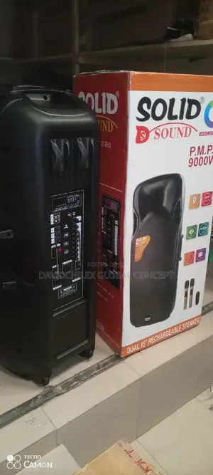 Solid Sound 15inches Double Public Address System