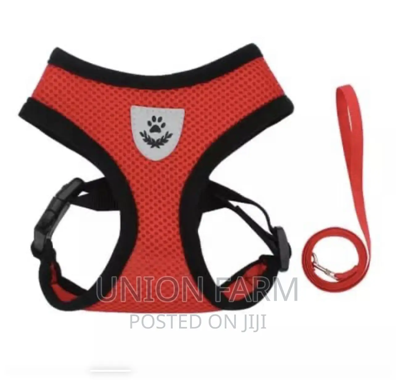 Harness and Leash