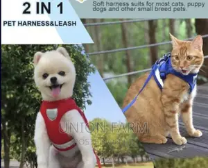 Harness and Leash