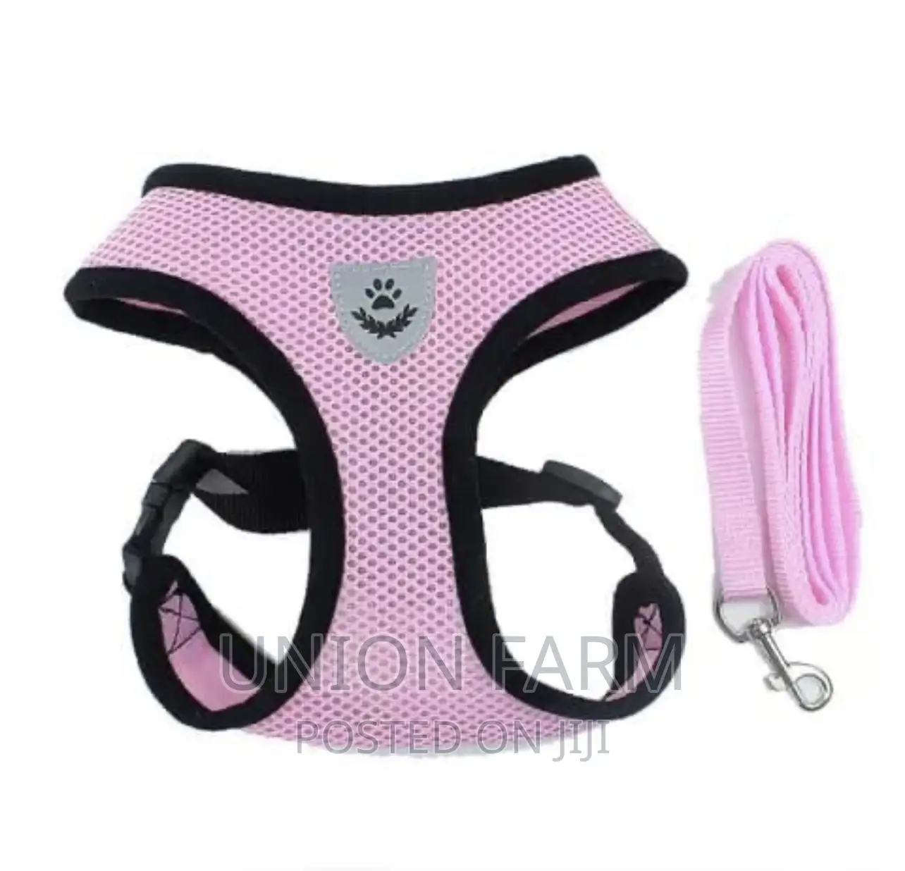Harness and Leash