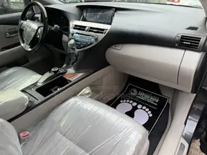 Lexus RX 350 2010 Gray