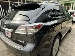 Lexus RX 350 2010 Gray