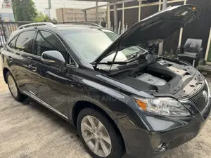 Lexus RX 350 2010 Gray