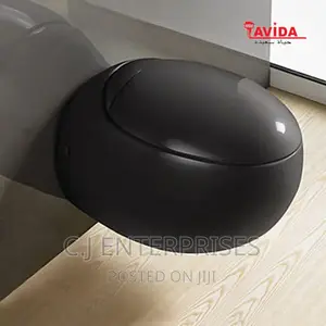 Conceal Wc Luxury Black Color With Oval Shape