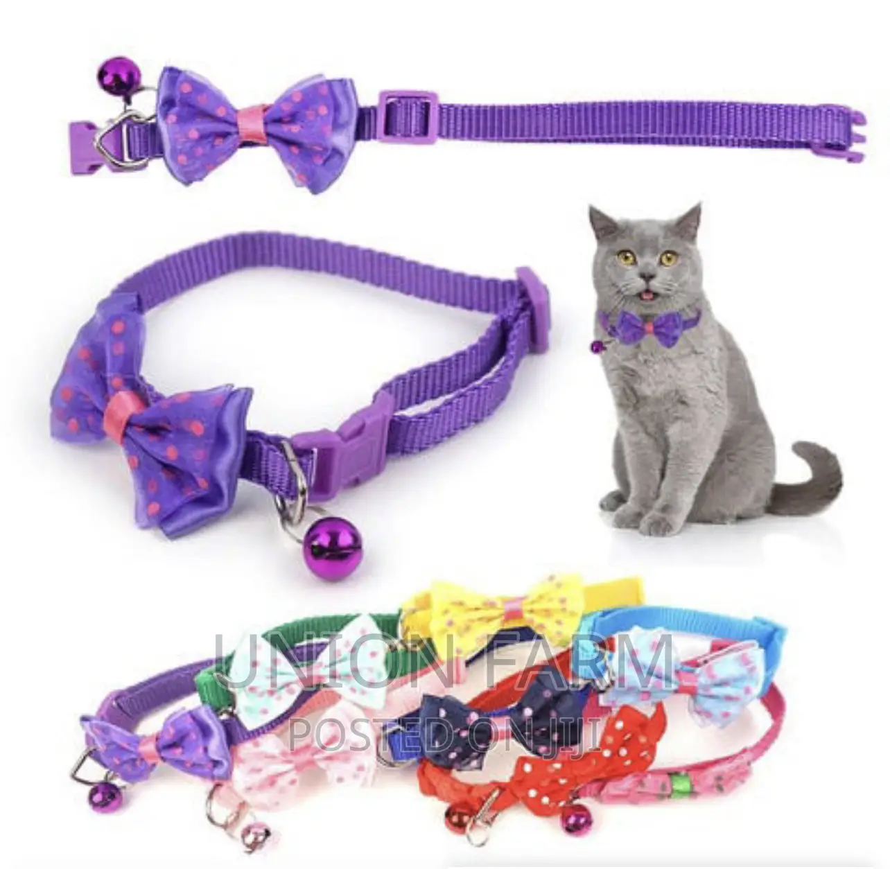 Bell Bow Collar