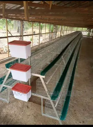 Imported Poultry Cages