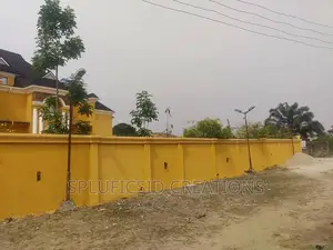 Combination Texcoat Gravitex Painting