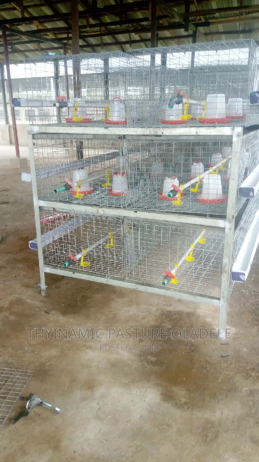 Rearing and Boiler's Cage