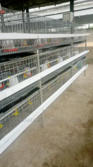 Rearing and Boiler's Cage
