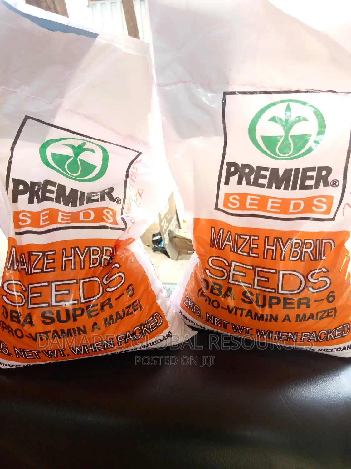 Hybrid Maize Seeds