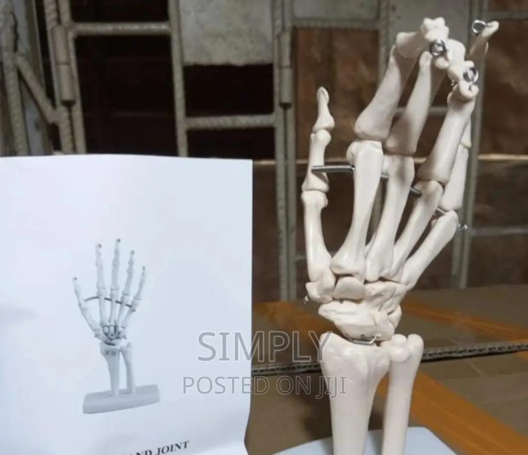 Hand Joint Available