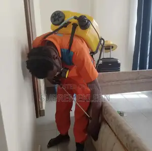 House Cleaning Services Pest Control Service.