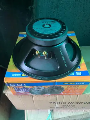 G12inches SBI Naked Speaker