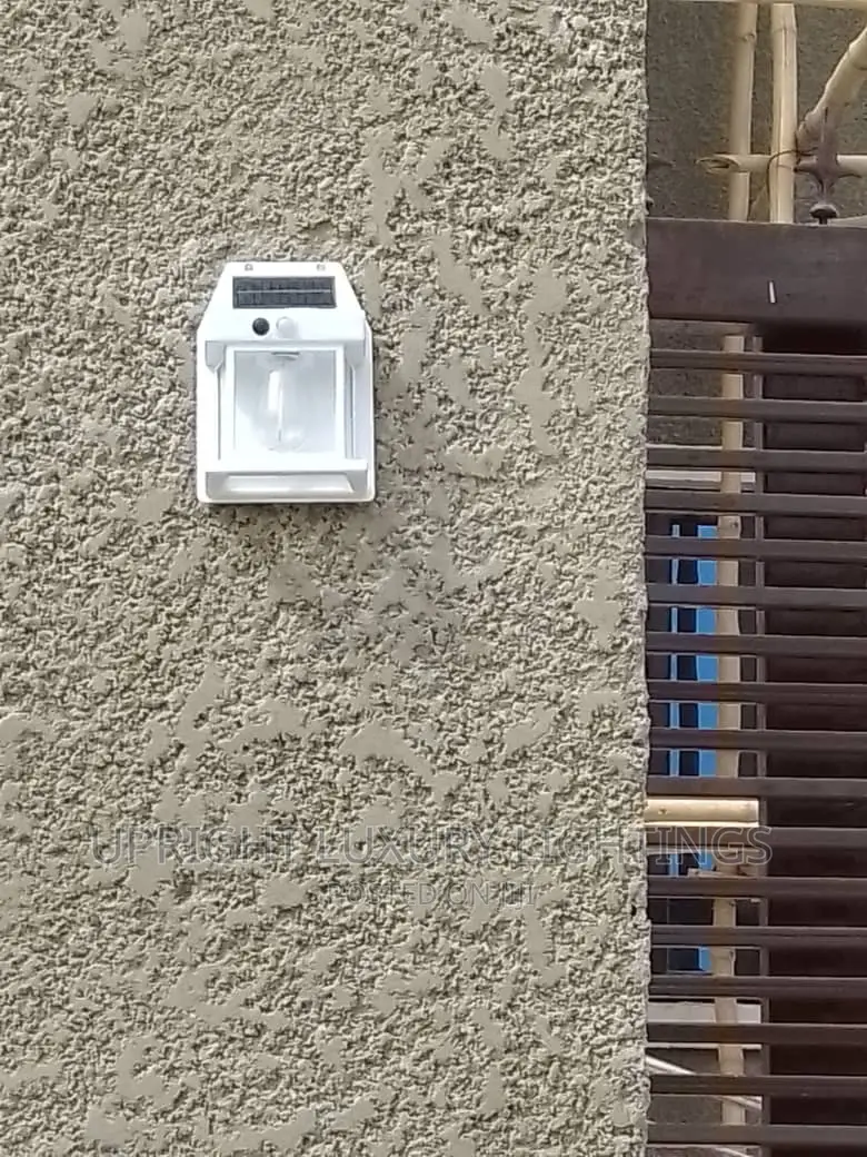 Solar Outdoor/Security Light.