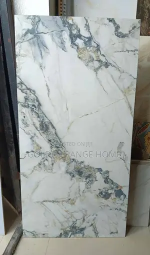 Photo - 60x120 Polished Floor Tiles