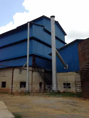 The Palm Oil Facility Is for Sale