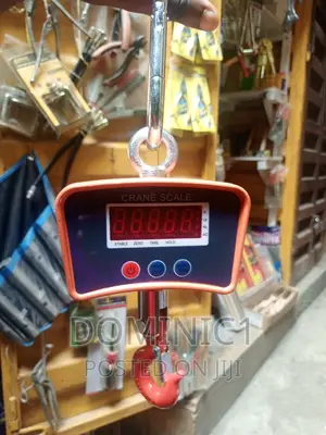 Crane Scale 500kg Hanging