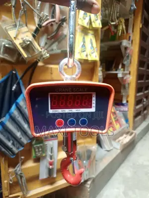 Crane Scale 500kg Hanging