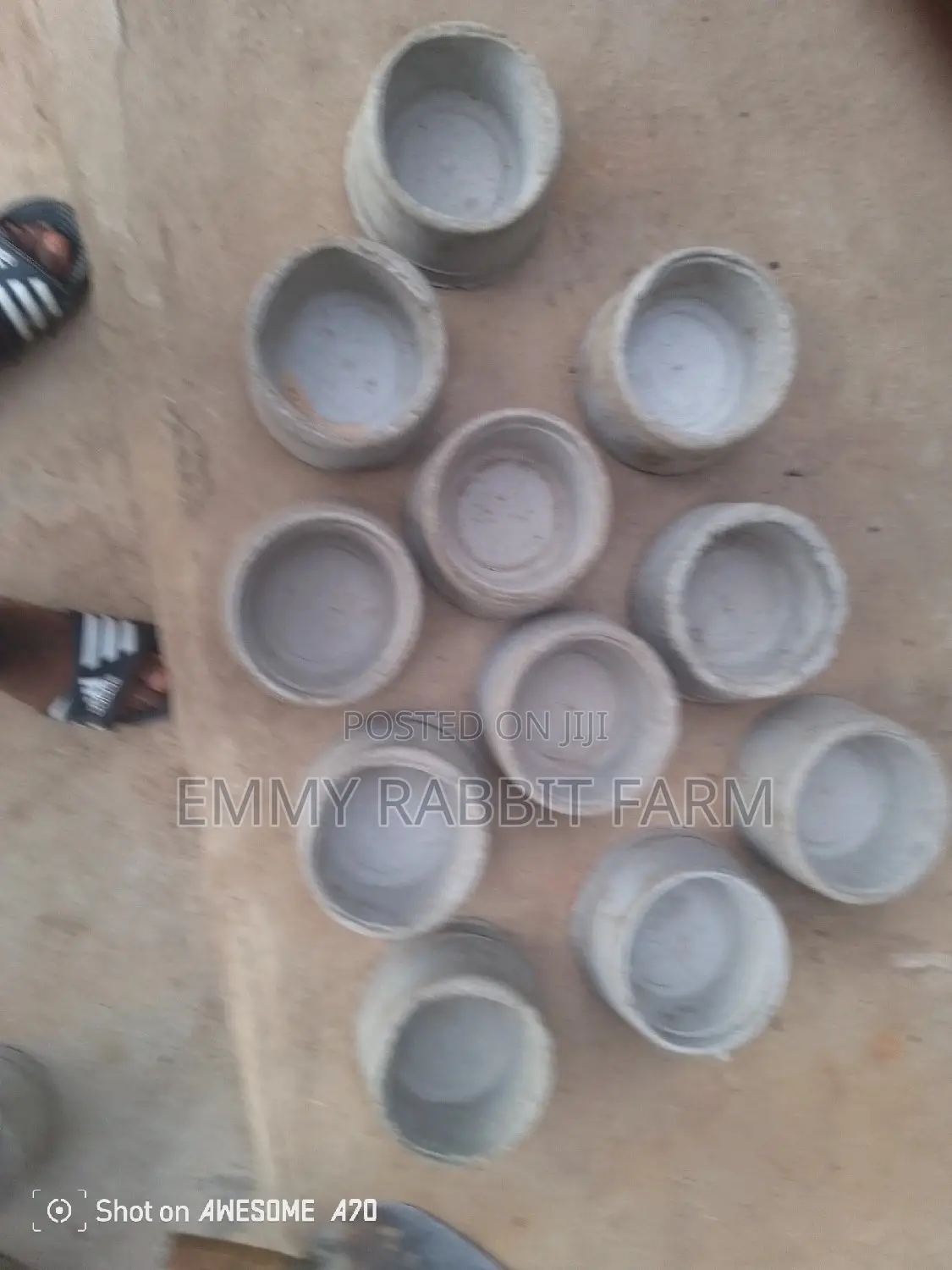 Rabbit/Grasscutter Feeders