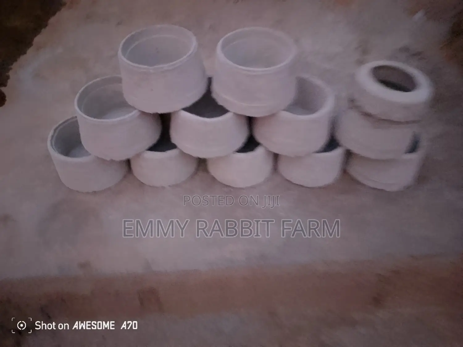Rabbit/Grasscutter Feeders