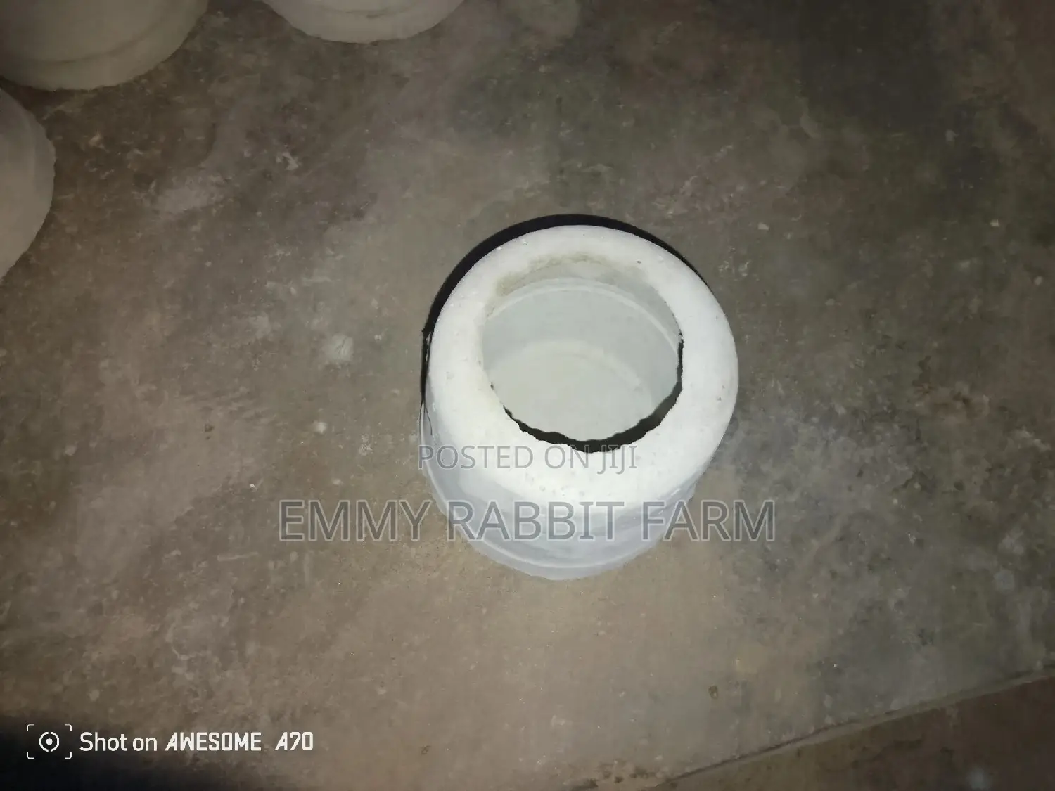 Rabbit/Grasscutter Feeders