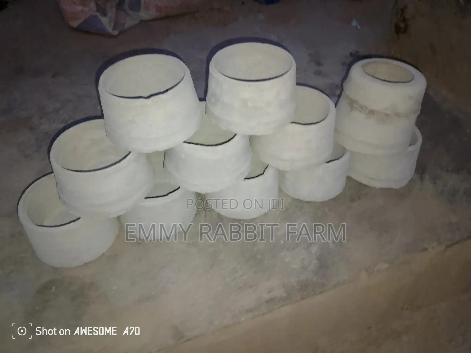 Rabbit/Grasscutter Feeders