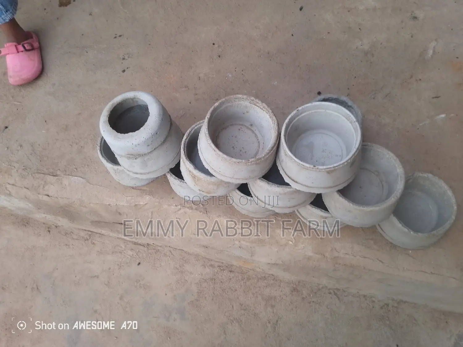 Rabbit/Grasscutter Feeders