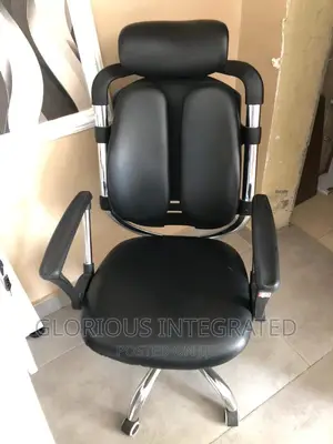 Kidney Ergonomic Office Chair
