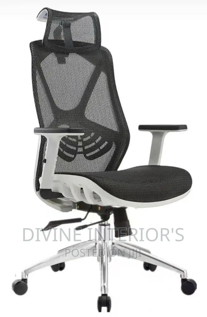 Office Net Chair