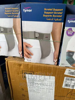 Scrotal Support