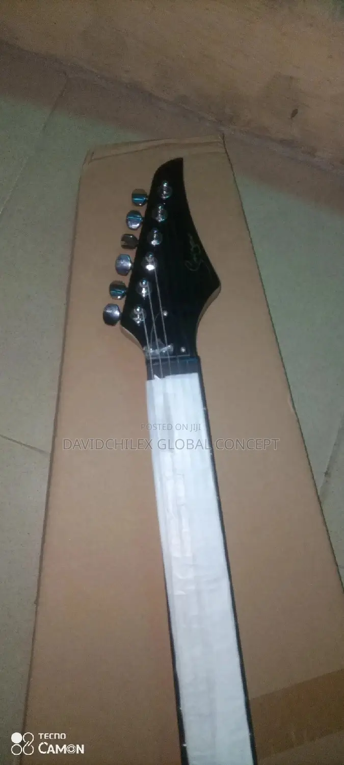 Singer Electric Guitar