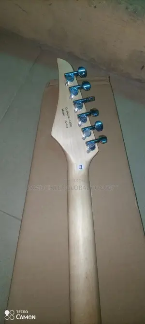 Singer Electric Guitar
