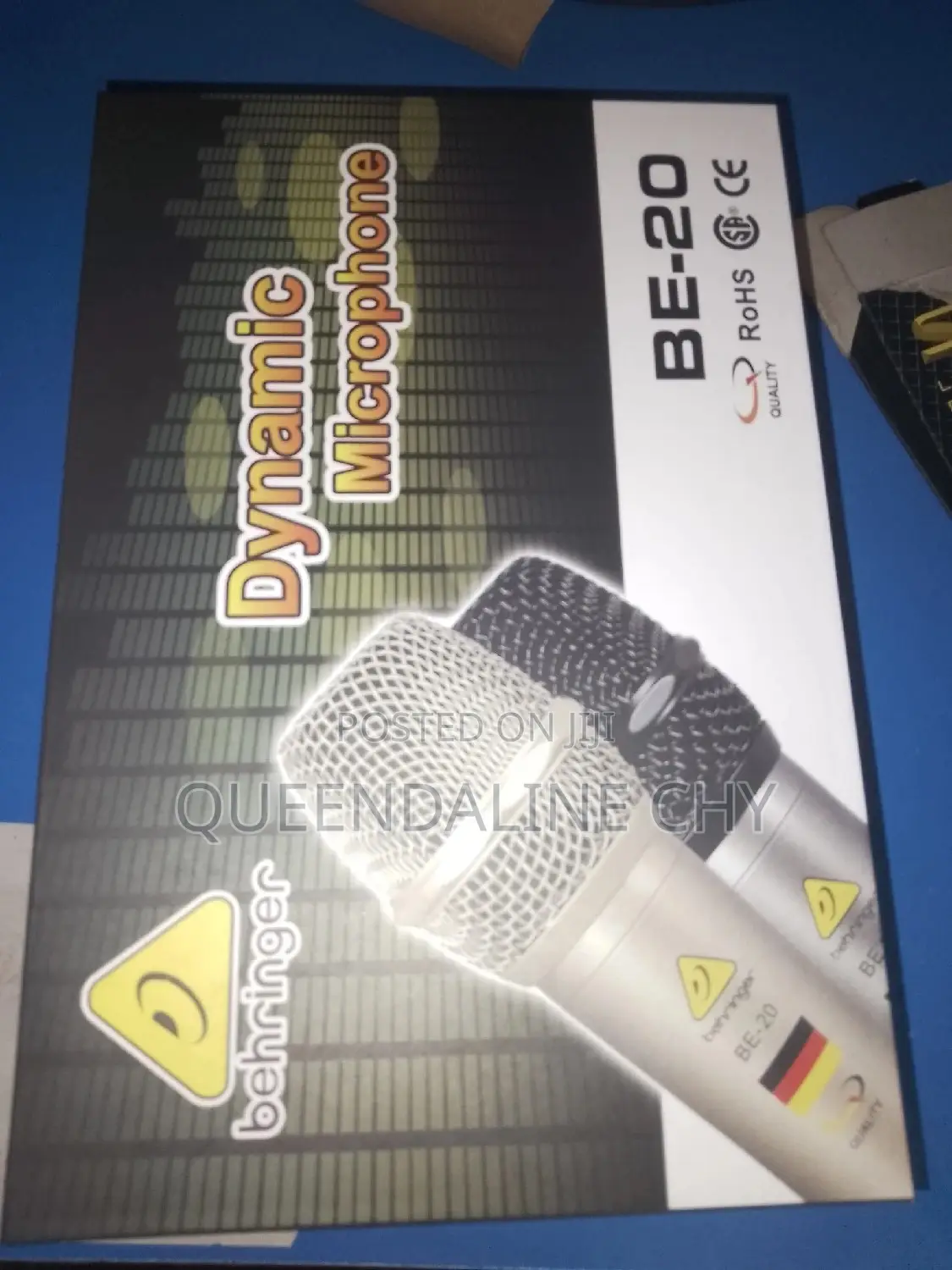 BE20 Dynamic Wired Microphone