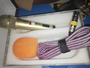 BE20 Dynamic Wired Microphone